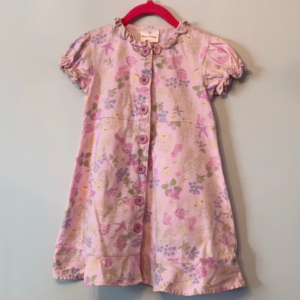 Hanna Andersson Dress